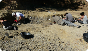 Troben 20 restes de dinosaure al jaciment cretàcic de l’Espinau a la Noguera