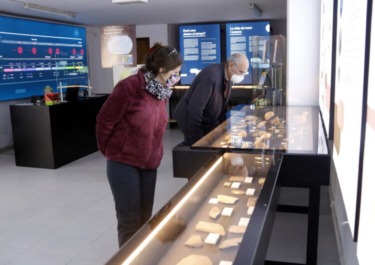 El Centre d’Interpretació del Montsec obre al públic amb una nova col·lecció de fòssils de fa 125 milions d’anys