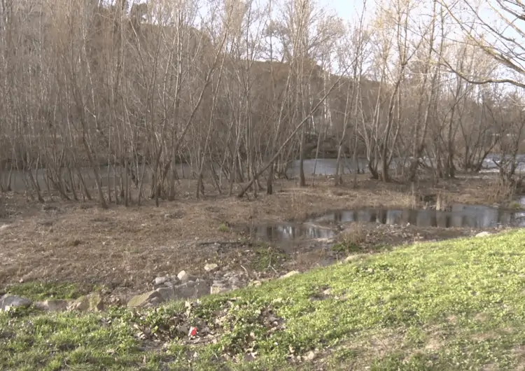 Finalitzen les obres de neteja i conservació a la llera del Riu Segre