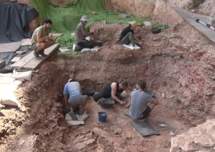 Finalitza la campanya d’excavació a la Cova Gran de Santa Linya