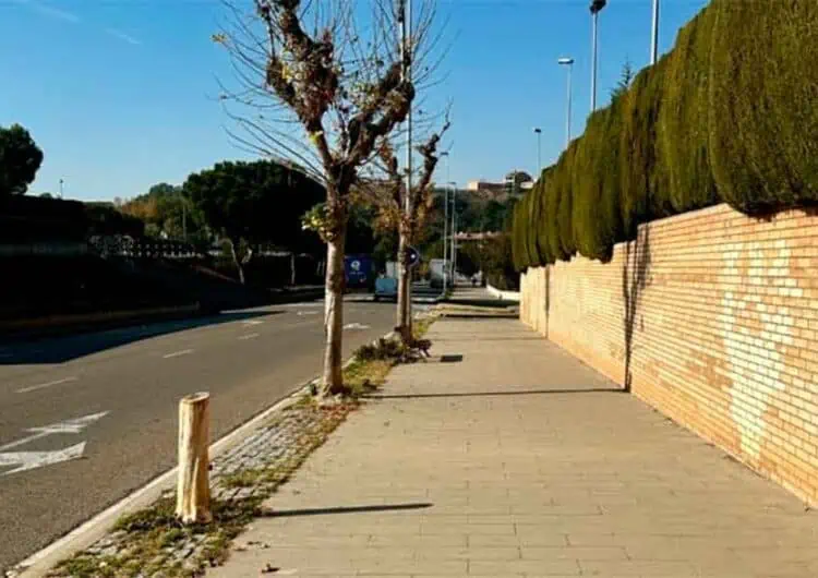 La Paeria de Balaguer plantarà arbres en els escocells buits de diferents zones de la ciutat