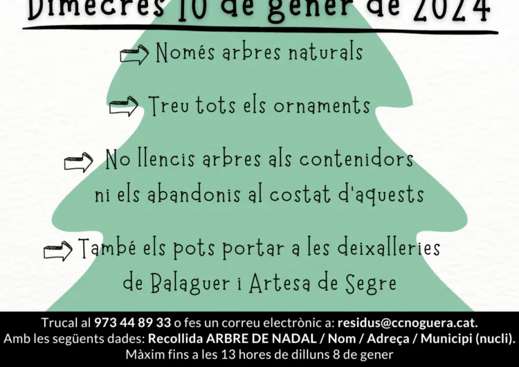 Nou servei de recollida dels arbres de Nadal del Consell comarcal