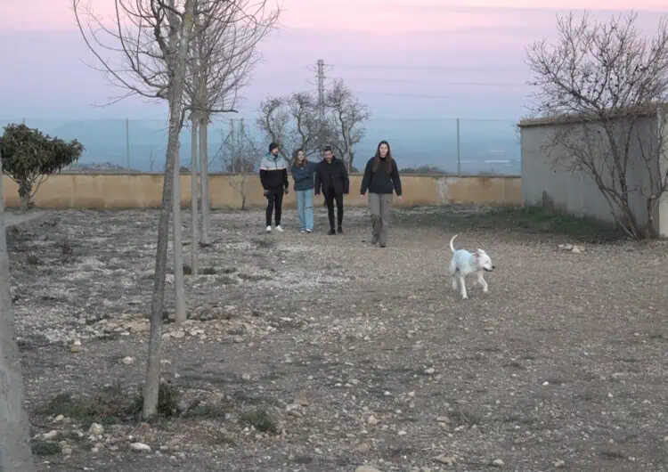 Neix a Balaguer l’Associació animalista L’Aglà