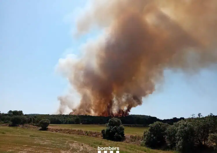 Estabilitzat l’incendi forestal d’Artesa de Segre, que ha afectat unes 68 hectàrees