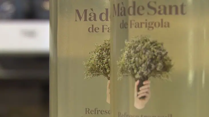 Productors de Ponent recuperen la menta i la farigola per crear refrescos naturals