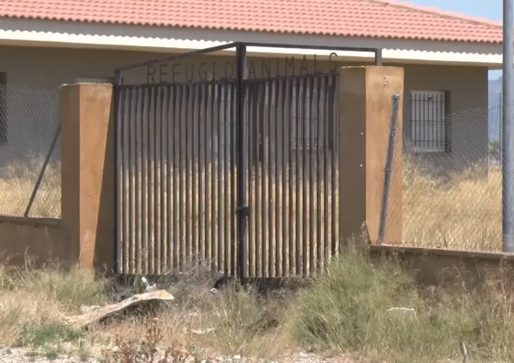 El Consell Comarcal de la Noguera presenta una moció per a la creació d’un refugi d’animals comarcal