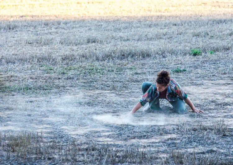 El [festival] NATURES escalfa motors per a una cinquena edició que aplegarà 17 propostes de dansa i arts plàstiques